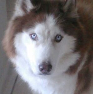 Meet your Posher, Gilberto